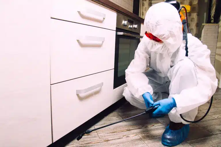 أرخص شركة مكافحة حشرات بالطائف